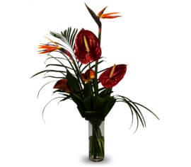 Bouquet Passion tropicale