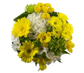 Bouquet Concerto