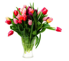 Bouquet Rêve de printemps