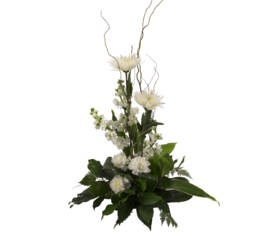 Arrangement Blanc murmure