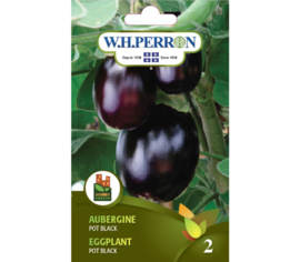 Aubergine Pot Black (Semences)