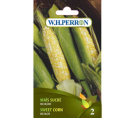 Maïs Sucré Bicolore (Semences)