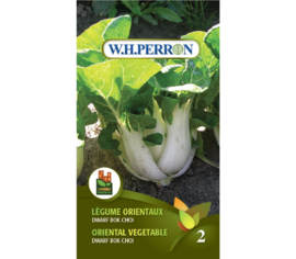 Légume Orientaux Bok Choi Nain (Semences)