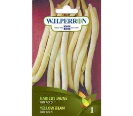 Haricot Jaune Gold Rush (Buisson) (Semences)
