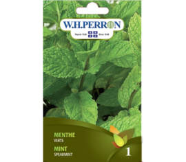Menthe Verte (Semences)