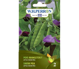 Pois Little Snow Pea (Semences)