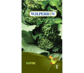 Rapini (Semences)