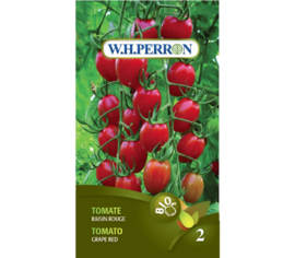 Tomate Raisin Rouge Biologique (Semences)