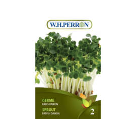 Germe de Radis Daikon Biologique (Vert) (Semences)