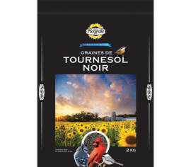 Tournesol noir 2 kg