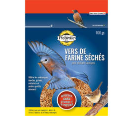Vers de farine 100 g