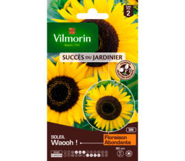 Tournesol Waooh! (Succès du Jardinier)