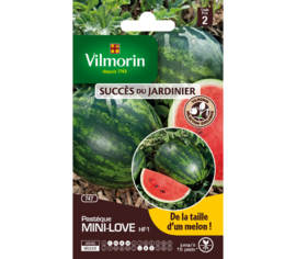 Pastèque Mini-love HF1 (Succès du Jardinier)