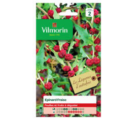 Épinard fraise (Légumes d'autrefois)