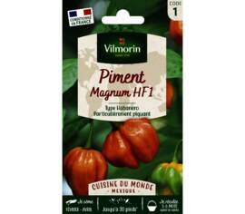 Piment Magnum F1 orange (type Habanero) (Cuisine du monde)