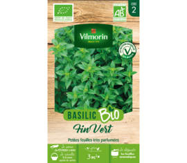 Basilic Fin Vert Biologique