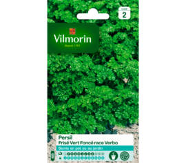 Persil frisé race Verbo (sélection Vilmorin)