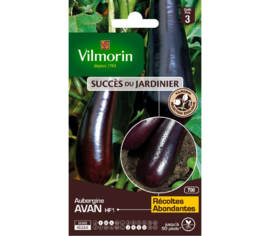 Aubergine Avan HF1 (Création Vilmorin) (Succès du Jardinier)