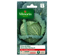 Chou de Milan gros des vertus