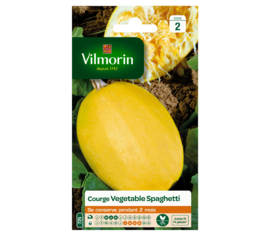 Courge Spaghetti