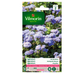 Ageratum Roi des Bleus