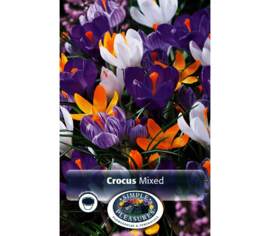 Crocus Giant Mix (Géant) (Paquet de 15 bulbes)