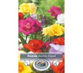 Freesia Mixed Double (Paquet de 10 bulbes)