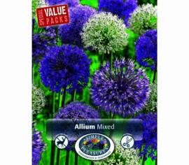 Allium Mixed (Special Value Pack) (Paquet de 8 bulbes)