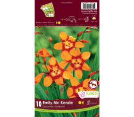 Crocosmia Emily MacKenzie (Paquet de 10 bulbes)