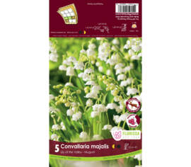 Convallaria Majalis (Paquet de 5 bulbes)