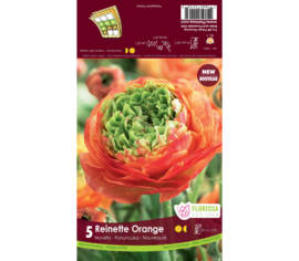 Renoncule Reinette Orange (Paquet de 5 bulbes)