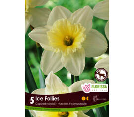 Narcisse Ice Follies (Cupped) (Zone : 3) (Paquet de 5 bulbes)