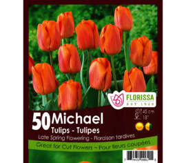 Tulipe Michael (Tardive) (Zone : 3) (Paquet de 50 bulbes)