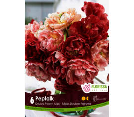 Tulipe Pep Talk (Pivoine double tardive) (Zone : 3) (Paquet de 6 bulbes)
