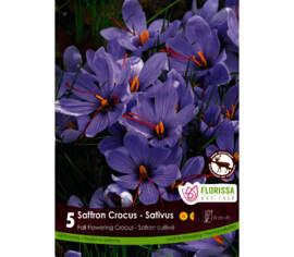 Crocus Sativus (Safran) (Floraison automnale) (Zone : 4) (Paquet de 5 bulbes)