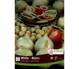 Oignon Snowball - Blanc (Paquet de 80)