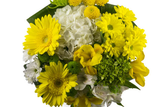 Bouquet Concerto
