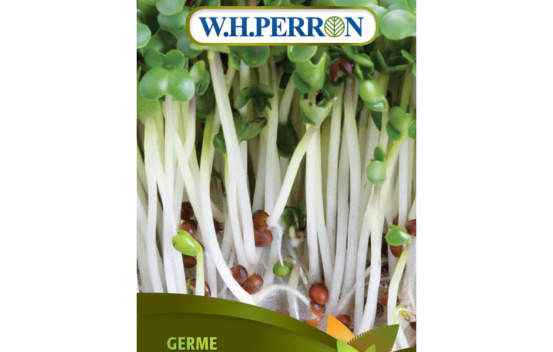 Germe de Brocoli Biologique (Semences)