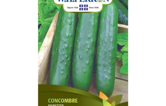 Concombre Marketer (Semences)