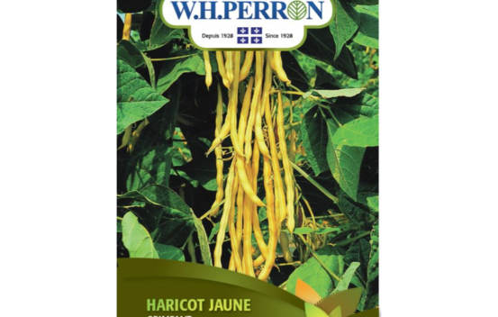 Haricot Jaune (Grimpant) (Semences)