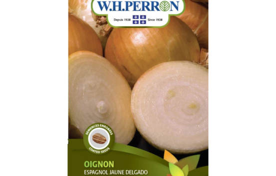Oignon Jaune Espagnol (Semences enrob&eacute;es)