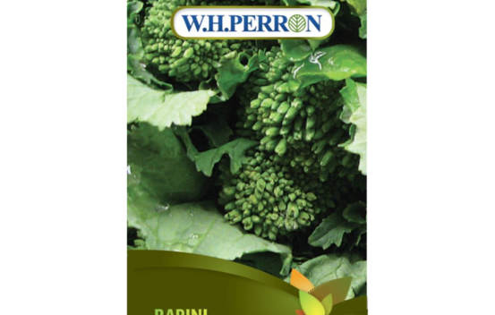 Rapini (Semences)