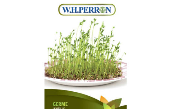 Germe de Lentille Biologique (Semences)