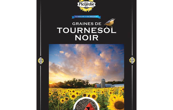 Tournesol noir 4 kg