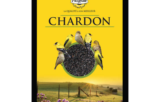 Chardon noir 2 kg