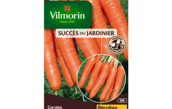 Carotte Bol&eacute;ro HF1 (Cr&eacute;ation Vilmorin) (Succ&egrave;s du Jardinier)
