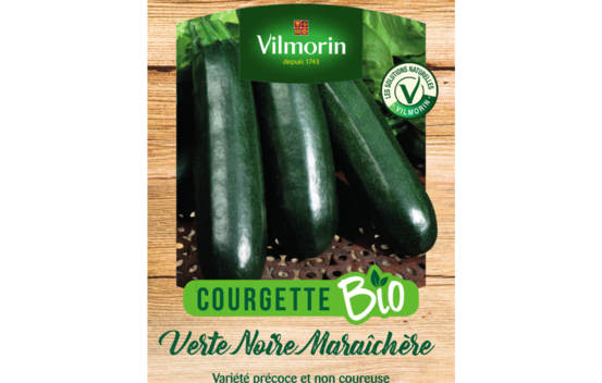 Courgette verte noire mara&icirc;ch&egrave;re Biologique