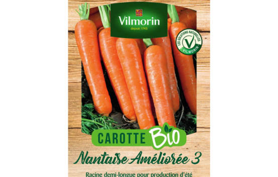 Carotte Nantaise am&eacute;lior&eacute;e 3 Biologique