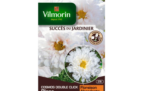 Cosmos Double Click blanc (Succ&egrave;s du Jardinier)