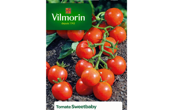 Tomate Sweetbaby